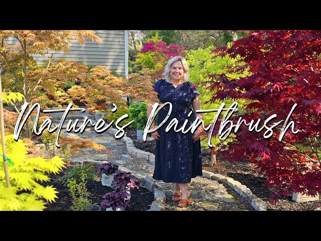 Tour of Our Japanese Maple Collection. The Tree that Transforms ANY Garden!