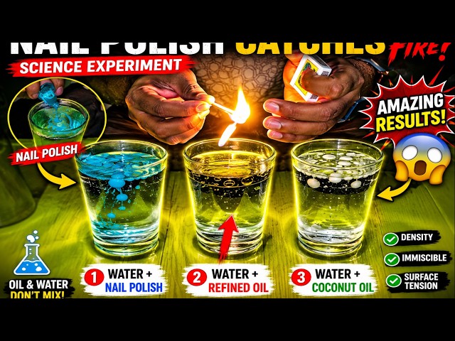 Nail Polish vs Refined Oil vs Coconut Oil in Water 😱 | Amazing Science Experiment