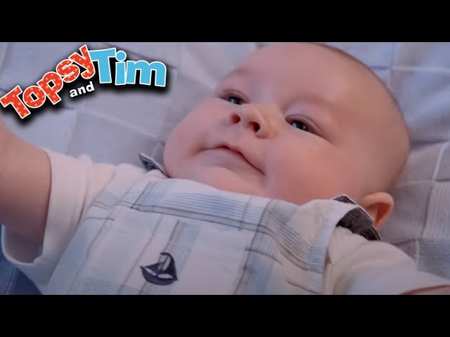 Topsy & Tim - New Baby! | Full Episode Compilation | Shows for Kids | HD