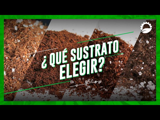 ¿QUÉ SUSTRATO ELEGIR PARA EL CULTIVO? - Guía de sustratos