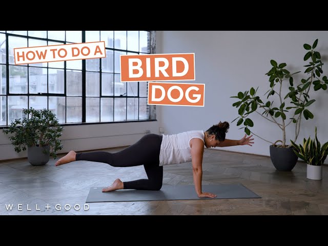 How to do a Bird Dog with Laurence Agenor | The Right Way | Well+Good