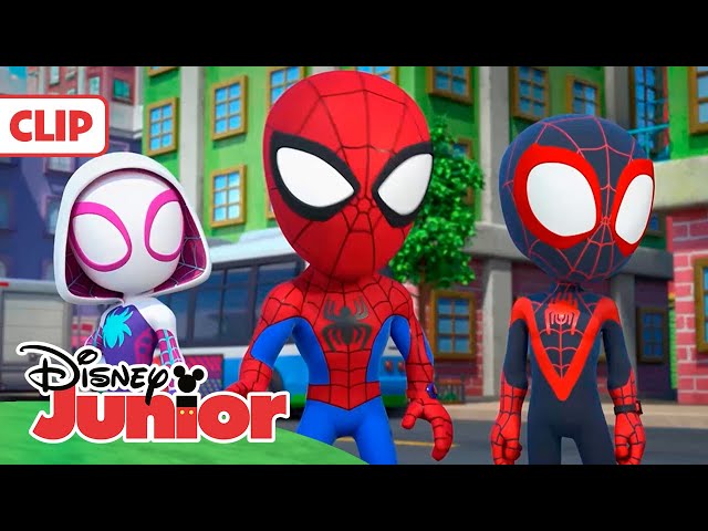 MARVEL SPIDEY Y SU SUPEREQUIPO: ¡Superequipo en acción! 🕷️ | @DisneyJuniorES