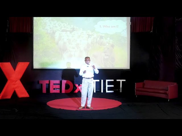 Why Chasing Success Stories Won’t Make You Successful | Padmakumar Nair | TEDxTIET