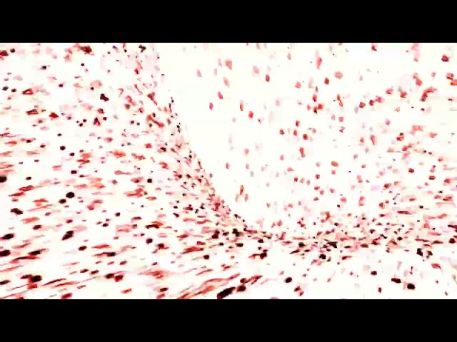 ❗FLASH WARNING❗Creeds   Push Up Luminatix Remix