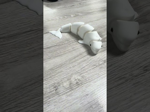 Mira esta divertida Beluga flexible