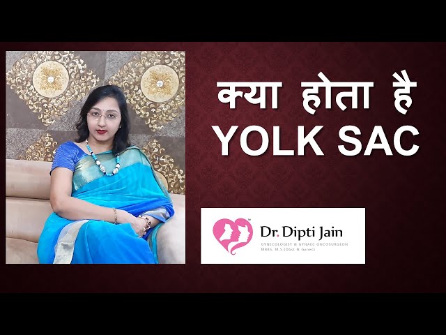 what is yolk sack (hindi)