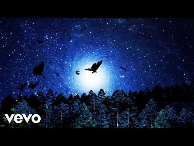 SZA - PSA (Lyric Video)
