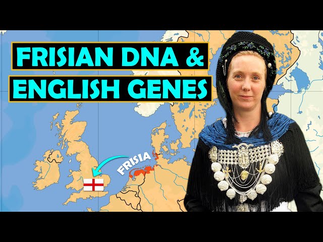 Frisian DNA: The Genetics of England’s Forgotten Ancestors…