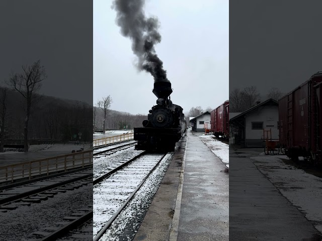 Shay 5 at the Cass Scenic Railroad