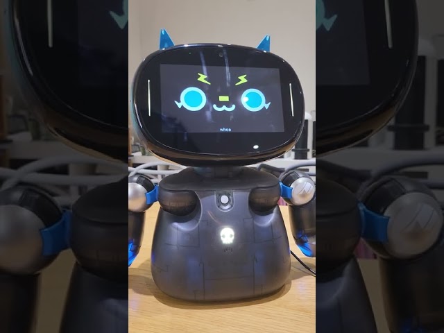 Introducing Vector Robot to Robot Creator DX - Play, Learn and Program!