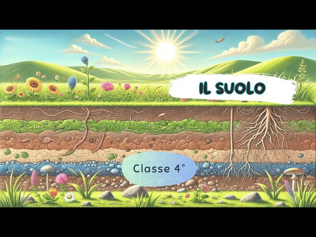 Il suolo - Scuola Primaria - Classe 4° || Scienze