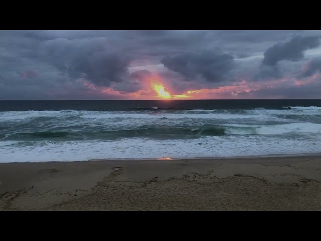 Mick Scheuerle and The Rainbow Turtles - Red Red Wine (7us/7music)