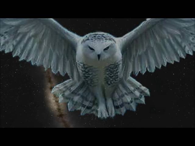 Alepta - Making Love to her Memory (360 Spirit in Orbit Remix)