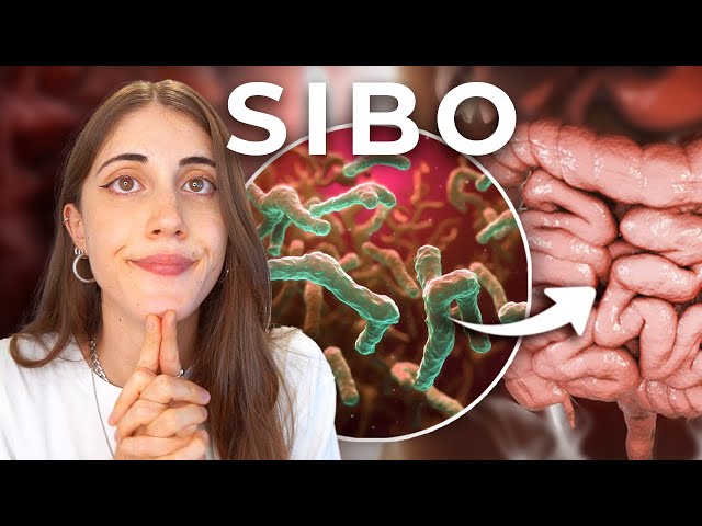 ¿Qué es el SIBO? TODO lo que debes SABER
