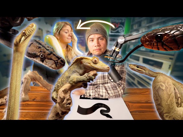 The VERY BEST Pet Reptiles, You'll SEE - Updates