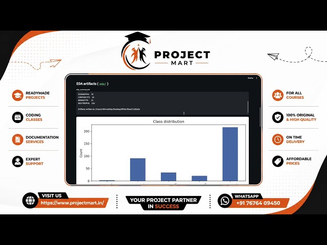 WBC Image Classification & Segmentation - Full Project Demo