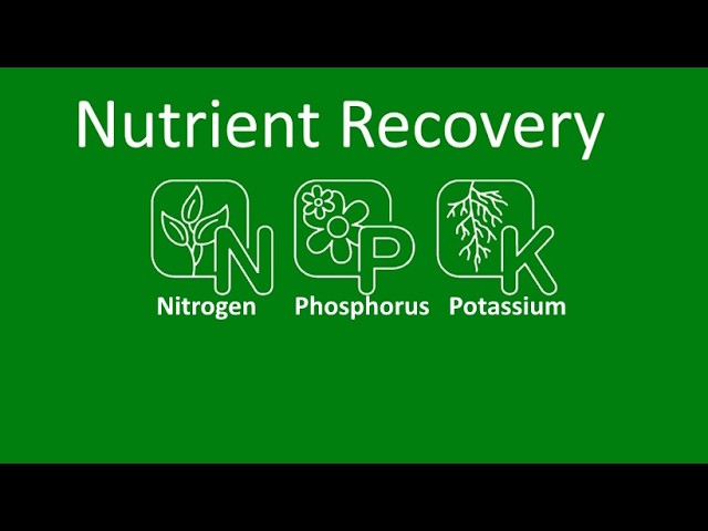 Nutrient Recovery