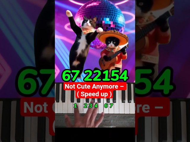 Not Cute Anymore – ( Speed up )Easy Piano Tutorial #shorts #illit #song