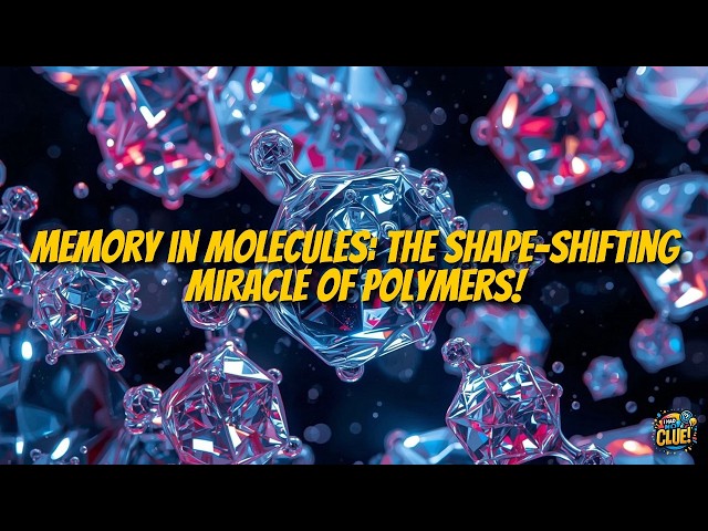 Shaping the Future: The Rise of Shape Memory Polymers