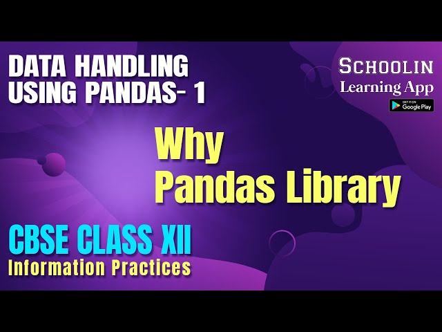 Why We Use Pandas Library in Python Class 12 | Python for Class 12 INFORMATION PRACTICES