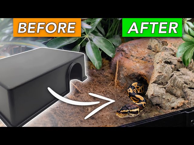 How to Build a Custom NATURALISTIC Reptile Hide