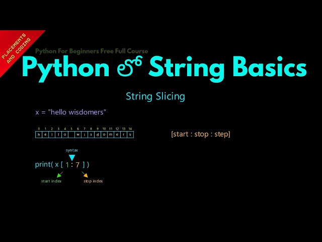 String Basics in Python || Telugu || Lesson 91 || Python For Beginners ||