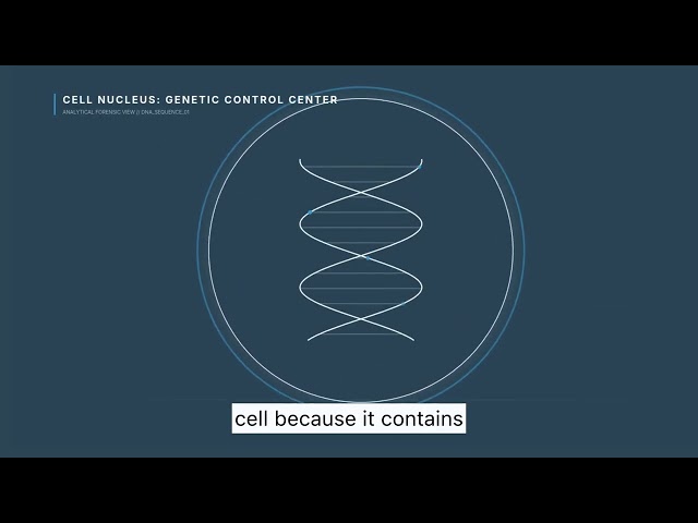 Cell Structure Explained (Organelles and Functions)