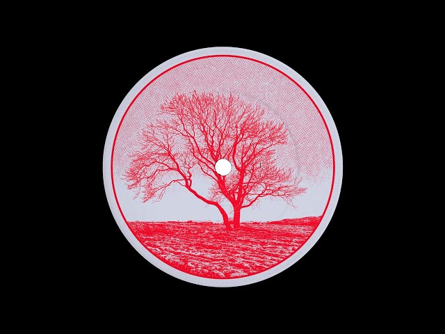 Computer Data - Abendrot