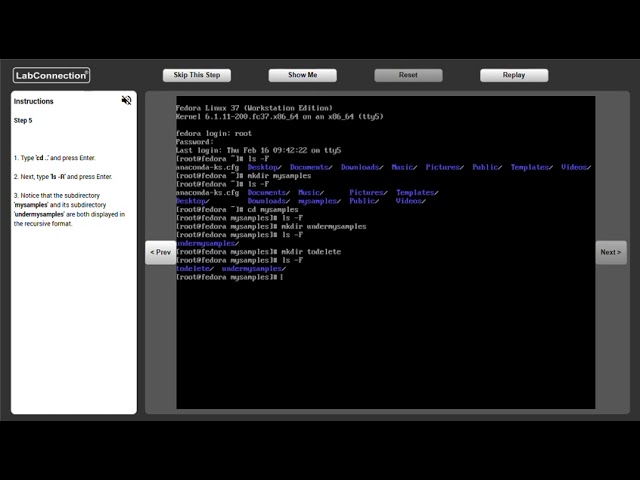 Create Manage Linux File Systems (CLI)