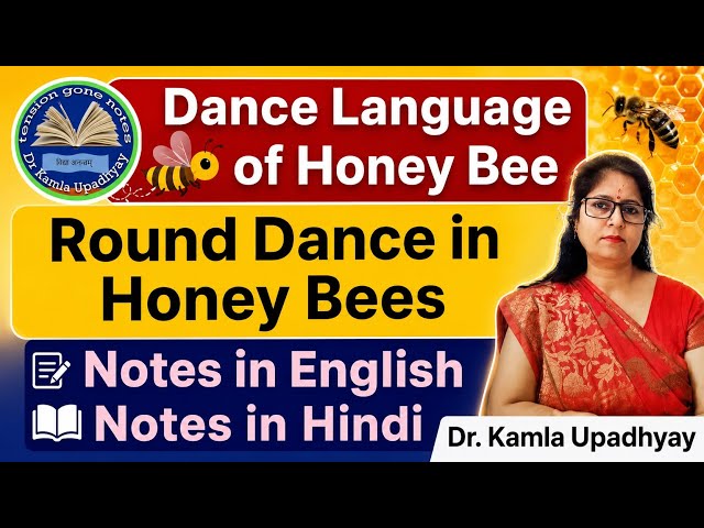 Round dance in honey bees l dance language of honey bee l round dance l B.Sc. & M.Sc. l zoology note