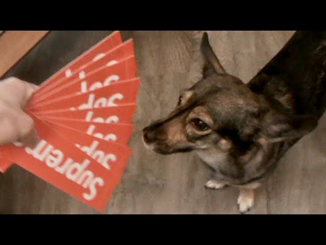 Pawella - Baker! [Official Music Video]