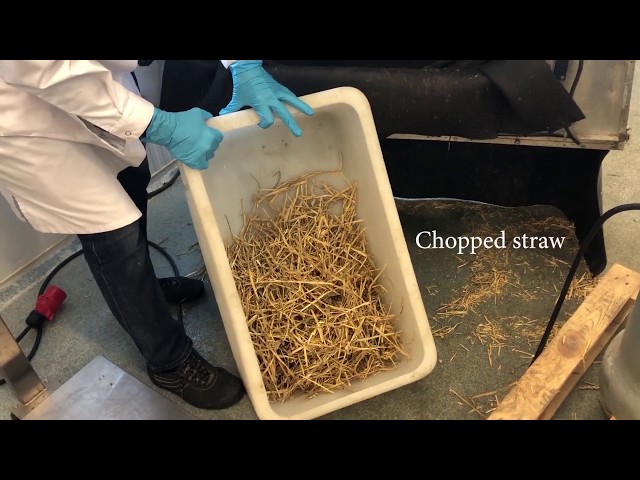 Sample preparation and milling of feed samples before feed analysis