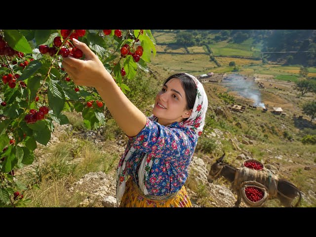 Harvesting Fresh Cherry & Traditional Cooking | Village Lifestyle Iran