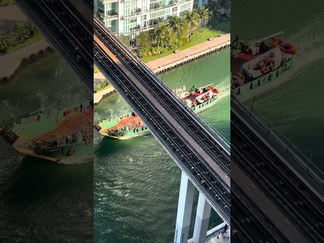 Bimini Shipping Entering The Miami River