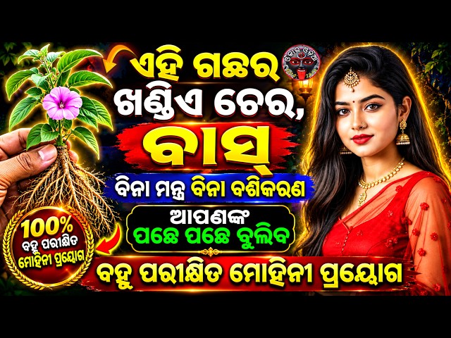 SARVA MOHINI SHAKTISHALI CHERA ❣️ BINA MANTRA BINA VASHIKARAN INSTANT ATTRACTION LOVE SOLUTION ODIA