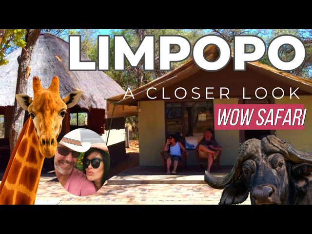 Safari in Limpopo, South Africa | Secrets of the Bushveld & Big Five Adventure 4K