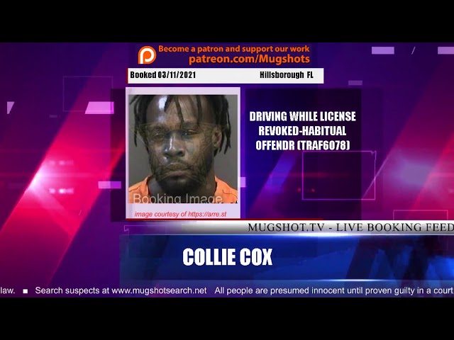 US Support LLC Presents Mugshot TV A Live Arrest Booking Video Stream