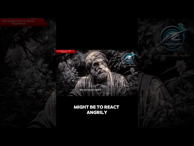 Managing Anger with Stoic Silence  #motivation #positivegrowth #selfhelp