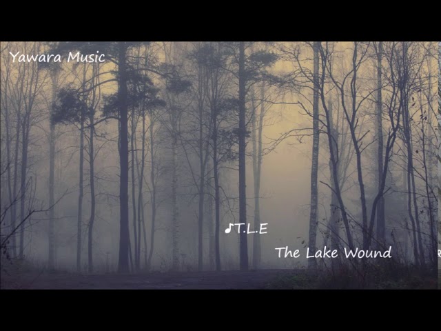 T.L.E   The Lake Wound