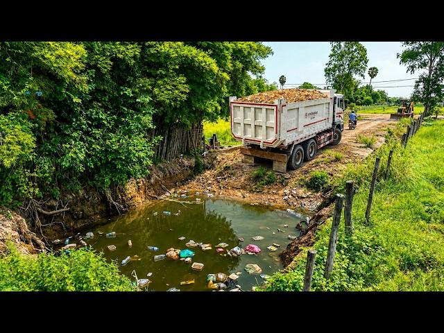 Incredible Start New Project! Delete Mini Pond Process by Mini Dozer Pushing & Dump Trucks Unloading