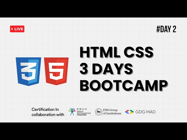 Day 2 | Styling and Layout with CSS