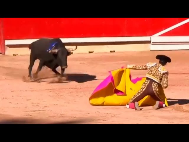 The 5 BEST waits at PORTA GAYOLA by ANDRÉS ROCA REY