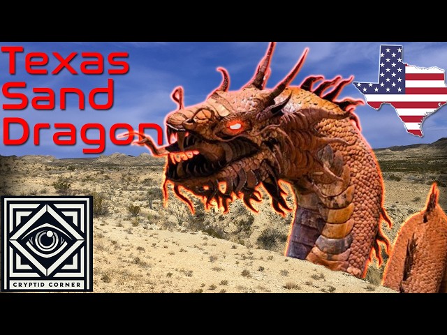 The Texas Sand Dragon | A Desert Dwelling Terror