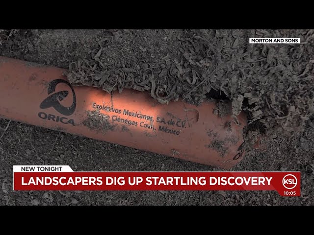 Mining explosives found in a box by landscapers working in Washington Terrace