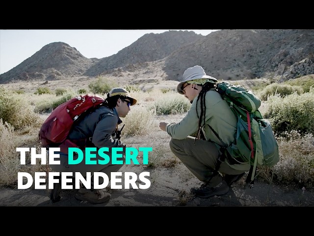 The Fight to Protect the Mojave