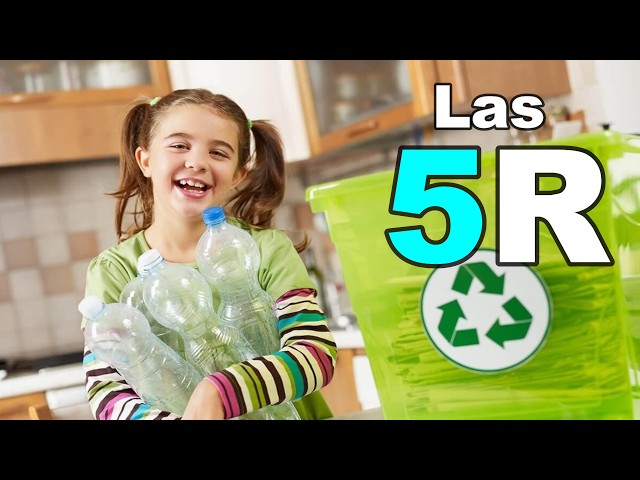 What are the 5 Rs of recycling? A quick guide to a zero-waste life