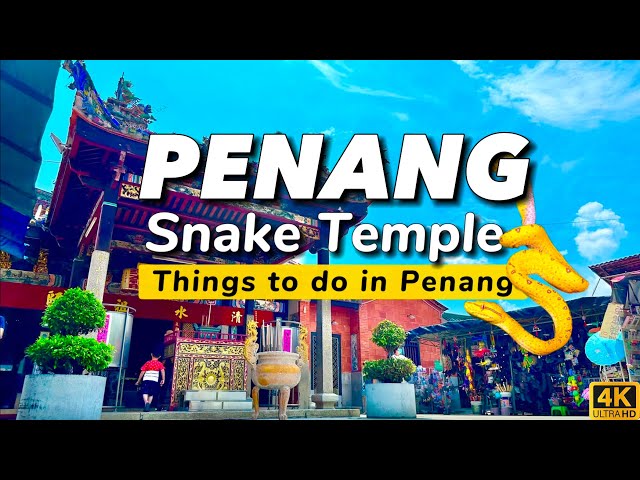 Snake Temple Penang | Things to do in Penang | Malaysia