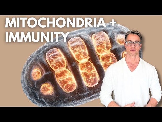 How Mitochondria Control Your Immune System