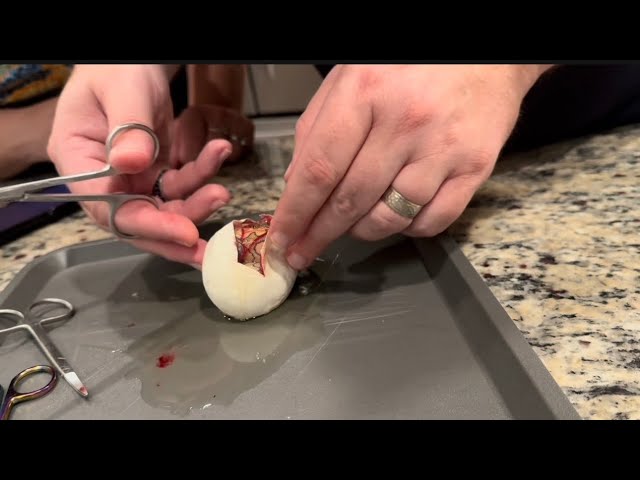 EGG CUTTING!!!!!!