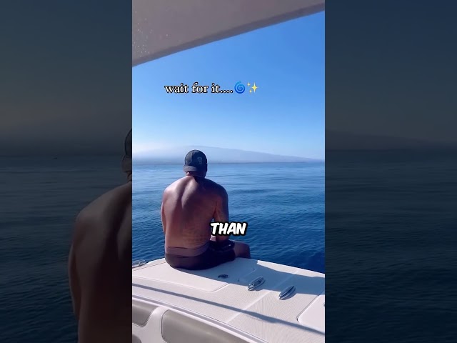 Whale Calling Horn Works Perfectly (@truedive) #shorts